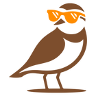 Sun Bounder